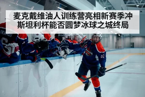 stanley cup playoffs hockey