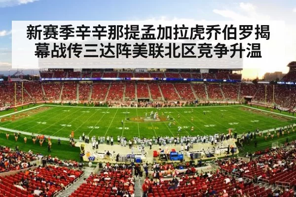 nfl stadium crowd